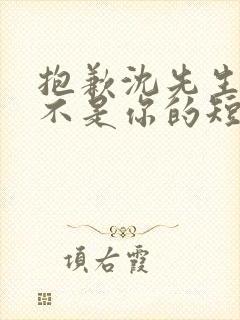 抱歉沈先生孩子不是你的短剧在线免费观看