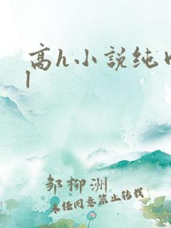 高h小说纯肉bl