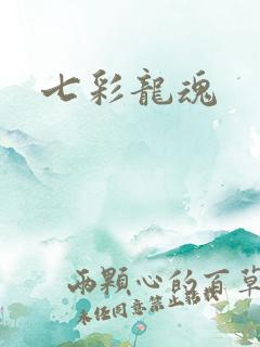 七彩龙魂