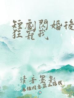 短剧闪婚后大叔狂宠我