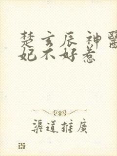 楚玄辰 神医毒妃不好惹