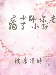 求少帅你老婆又跑了 小说