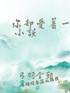 你却爱着一个他 小说