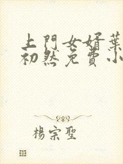 上门女婿叶辰萧初然免费小说