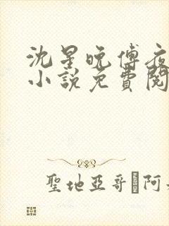 沈星晚傅夜霆的小说免费阅读