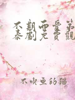 不期而爱第二季泰剧免费观看