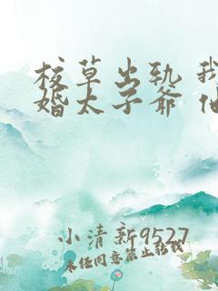 校草出轨 我闪婚太子爷 他疯了