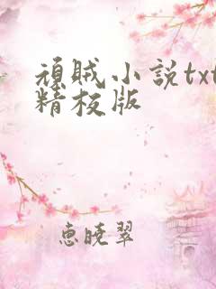 顽贼小说txt精校版