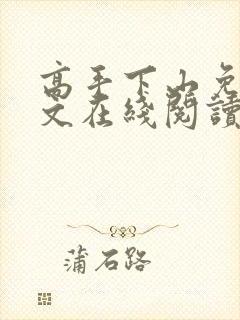 高手下山免费全文在线阅读