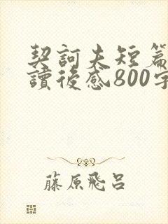 契诃夫短篇小说读后感800字高中
