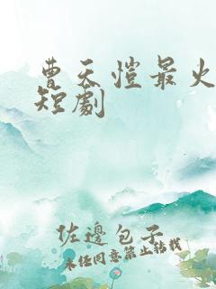 曹天恺最火十部短剧