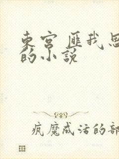 东宫 匪我思存的小说
