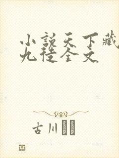 小说天下藏局小九徒全文