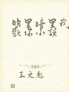 明里暗里我都喜欢你小说