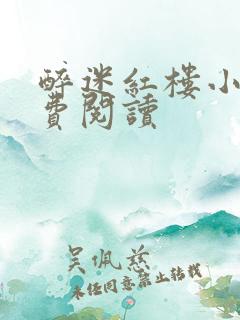 醉迷红楼小说免费阅读