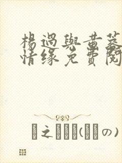 杨过与黄蓉荒岛情缘免费阅读