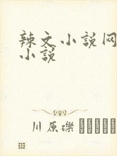 辣文小说网绿帽小说