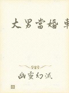 大男当婚 车晓