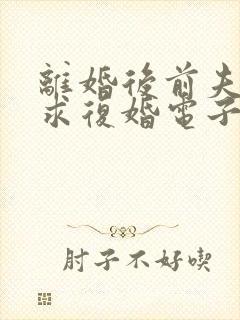 离婚后前夫哭着求复婚电子书阅读
