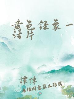 黄色录象一级生活片