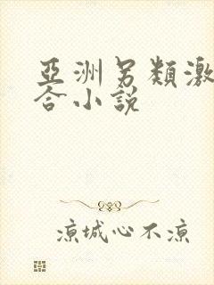 亚洲另类激情综合小说