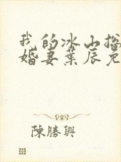 我的冰山总裁未婚妻叶辰免费阅读