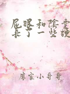 屁眼和阴囊中间长了一些硬疙瘩