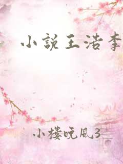小说王浩李洁