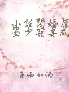 小说闪婚厚爱:墨少宠妻成瘾