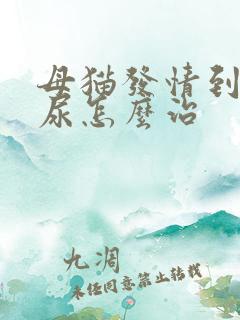母猫发情到处乱尿怎么治