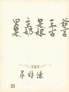 男主是王爷女主是奶娘古言