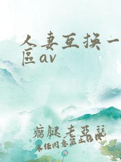 人妻互换一区二区av
