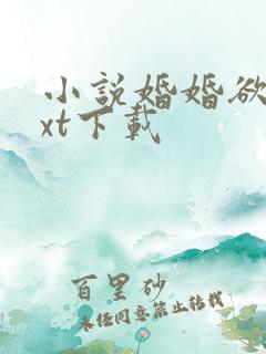 小说婚婚欲宠txt下载