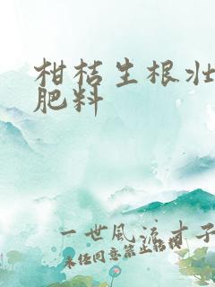 柑桔生根壮根用肥料