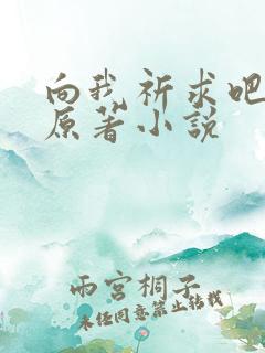 向我祈求吧韩漫原著小说