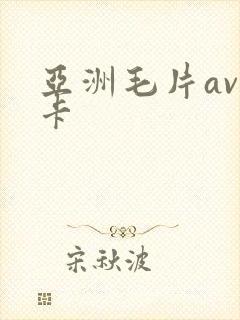 亚洲毛片av不卡