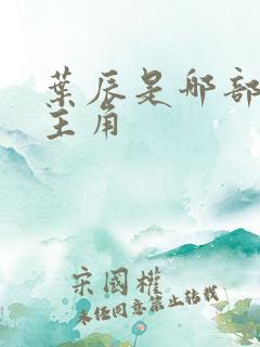 叶辰是哪部小说主角