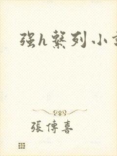 强h系列小说