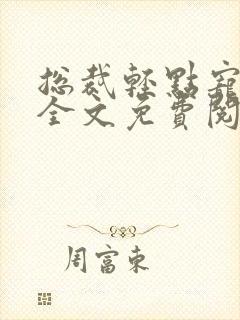总裁轻点宠小说全文免费阅读