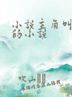 小说主角叫林宇的小说