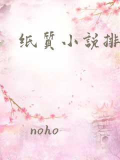 纸质小说排行榜