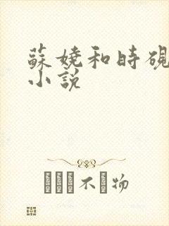 苏娆和时砚清的小说