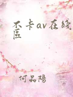 不卡av在线二区