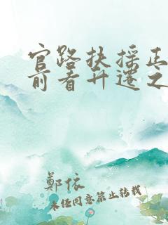 官路扶摇正版超前看升迁之路