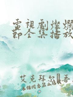 电视剧灿烂的季节全集播放免费观看