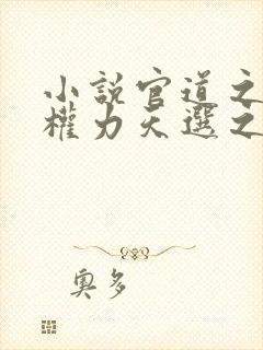 小说官道之绝对权力天选之主