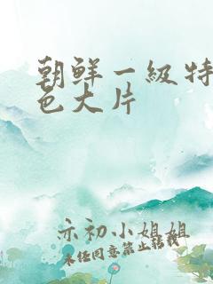 朝鲜一级特黄特色大片