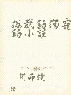 总裁的独宠甜妻的小说