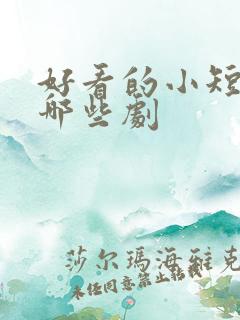 好看的小短剧有哪些剧