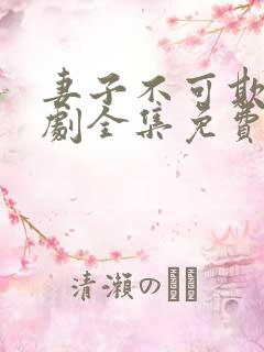 妻子不可欺电视剧全集免费观看